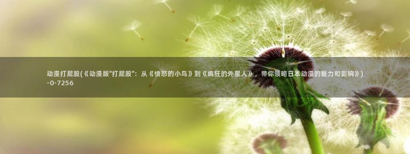 风车动漫网