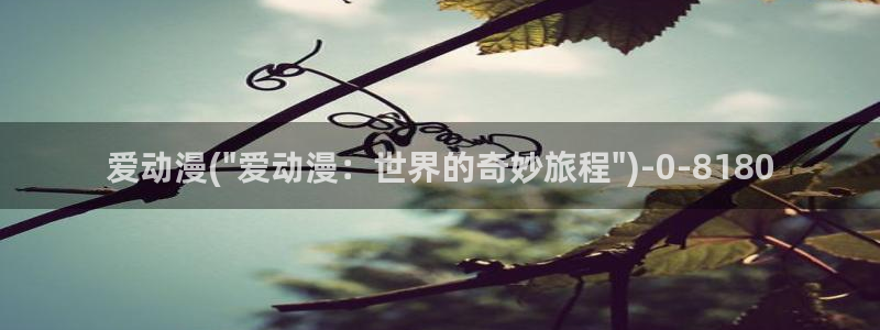 动漫台词