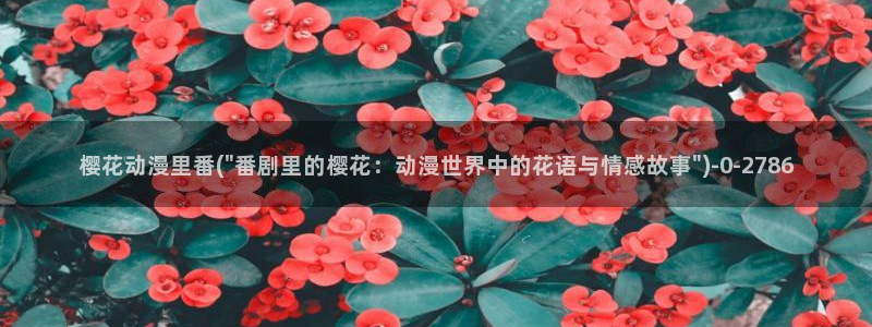 58动漫网站