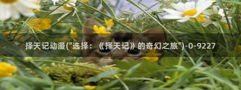 3D动漫